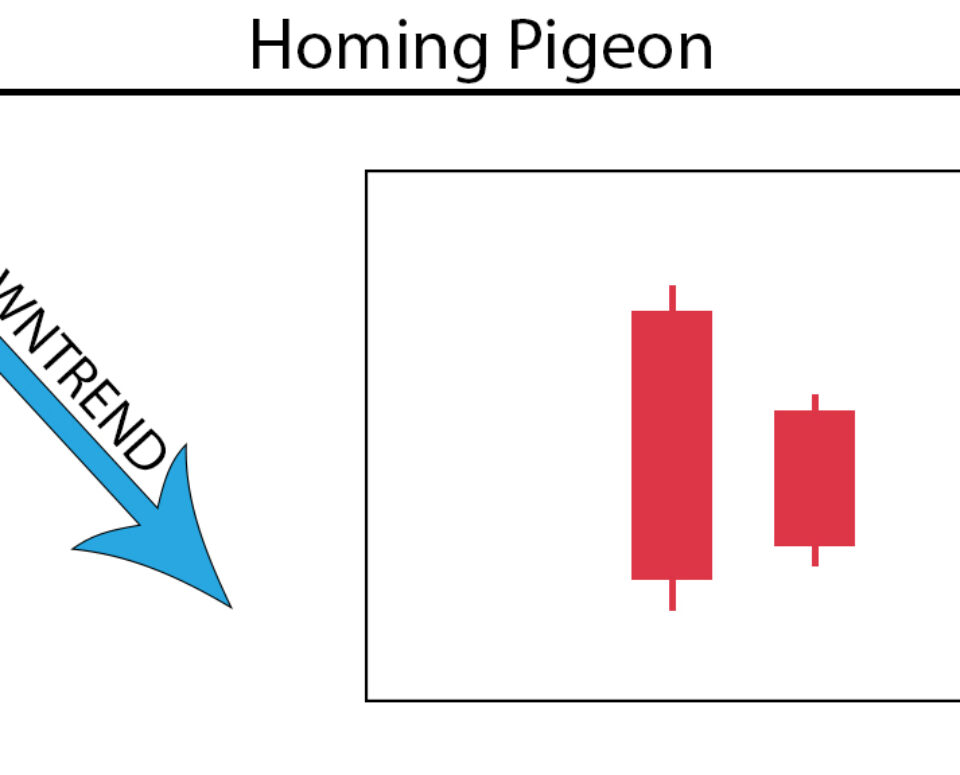 Homing Pigeon