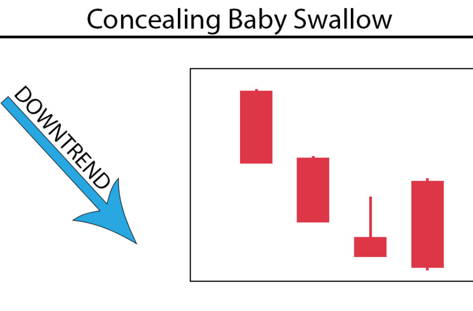 Concealing Baby Swallow