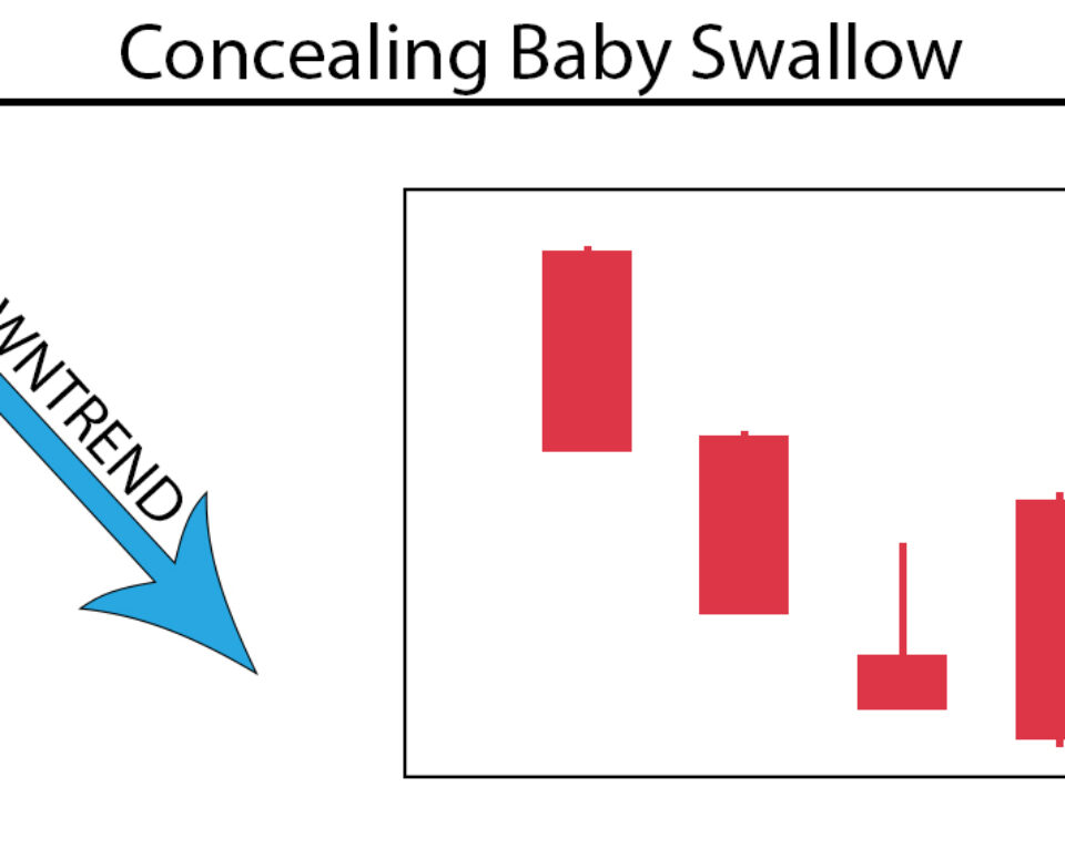 Concealing Baby Swallow