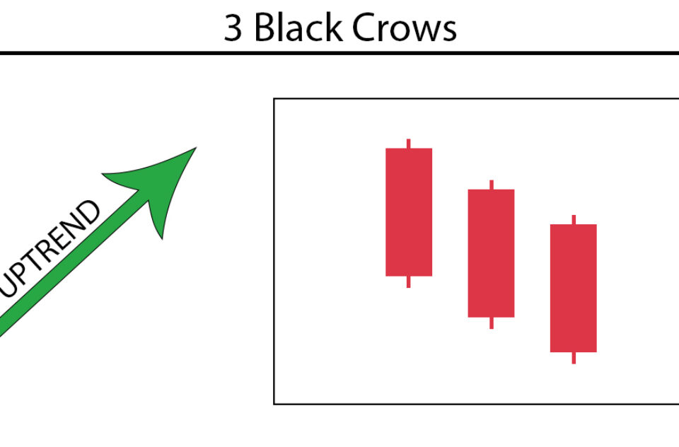 3 Black Crows