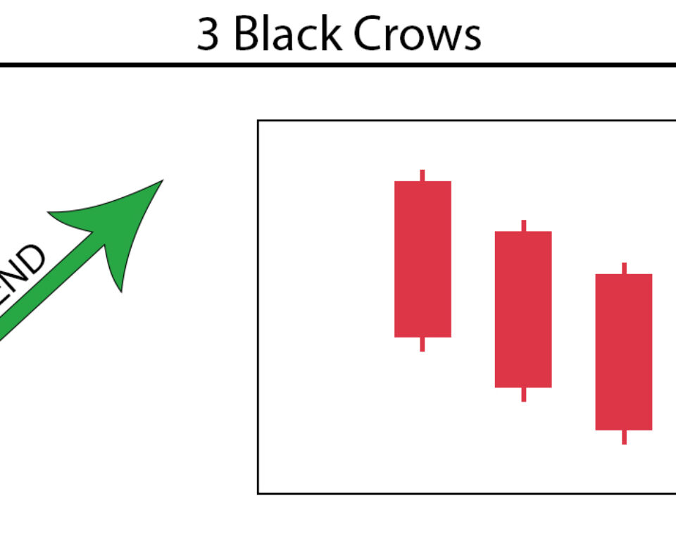 3 Black Crows